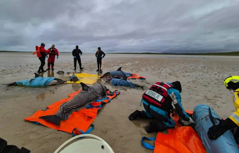 عکس های منتخب حیات وحش هفته جهان