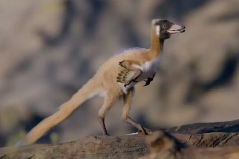 کشف عجیب فسیل «آلناشتری»؛ دایناسوری اندازه یک کلاغ