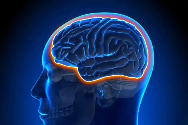 چرا ورزشکاران آلزایمر نمی‌گیرند؟