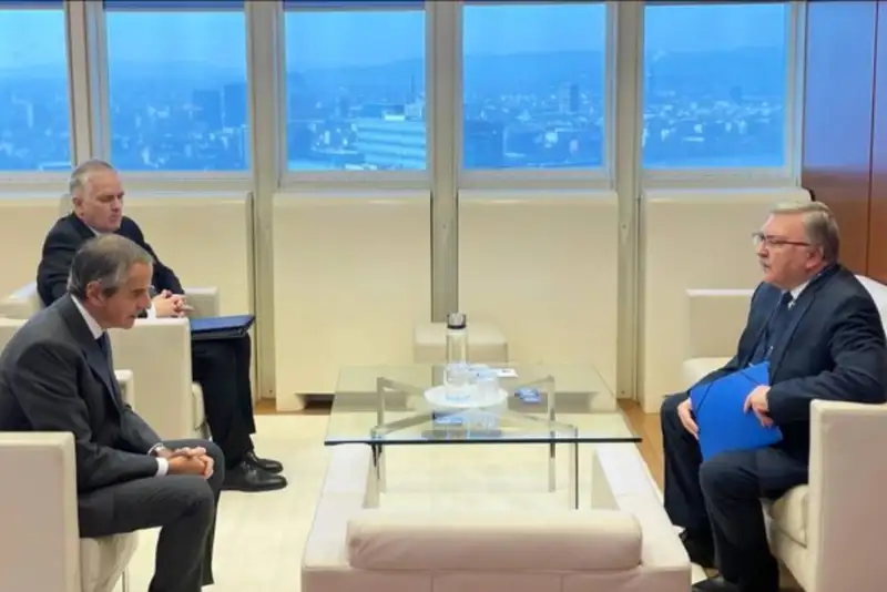 دیدار اولیانوف با گروسی پیرامون ایران و اوکراین