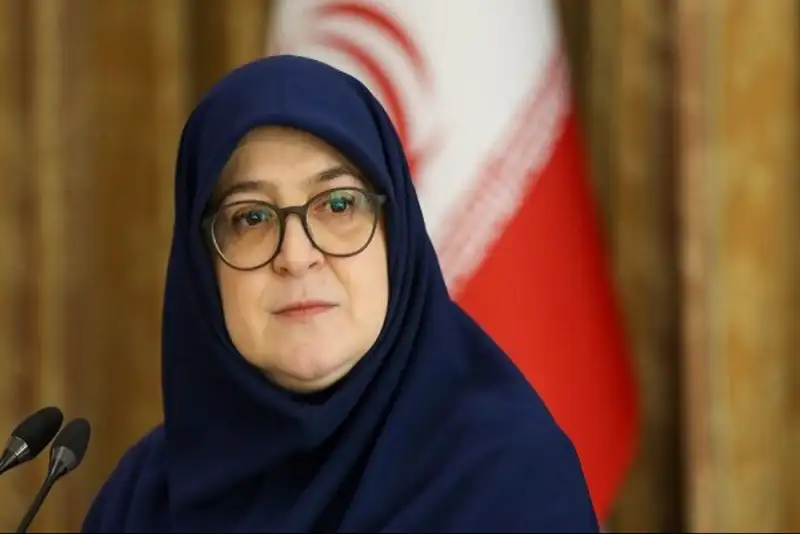 مهاجرانی: در مورد کالاهای اساسی، بنزین و دارو هیچ مشکلی وجود ندارد