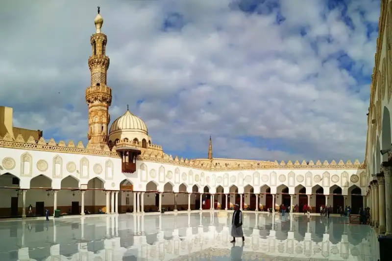 الازهر مصر خواستار توقف فوری جنگ شد