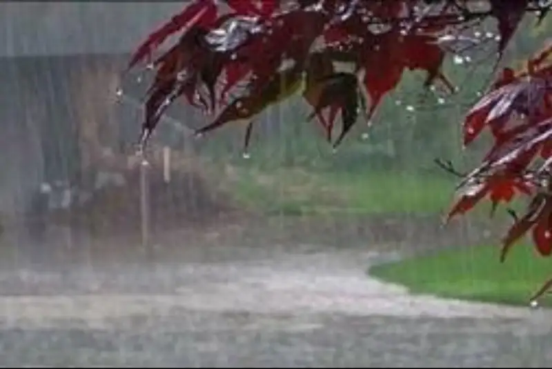 سامانه بارشی و سرد تا بعد از ظهر فردا مهمان گیلان است