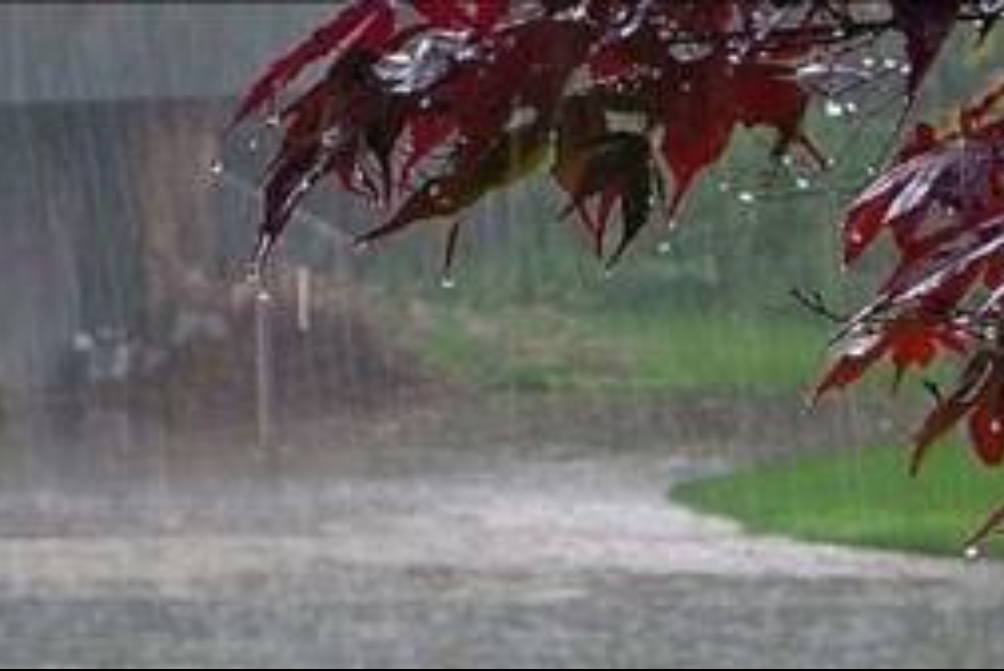 سامانه بارشی و سرد تا بعد از ظهر فردا مهمان گیلان است