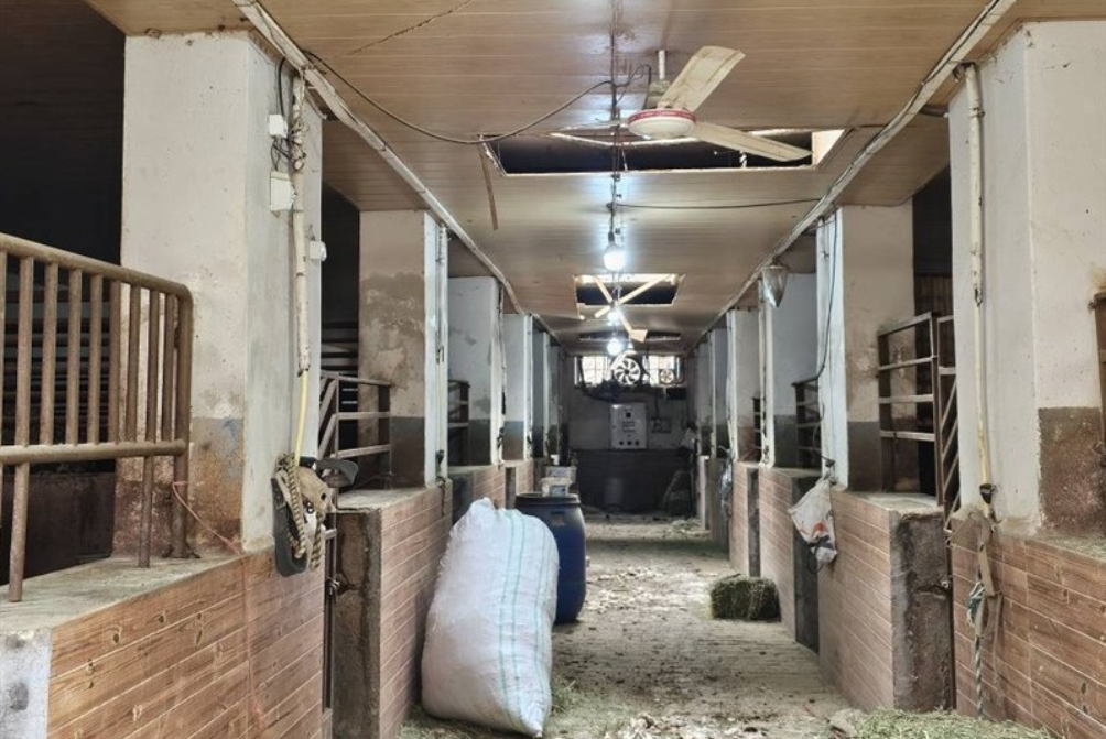 مجموعه تاریخی فرح آباد و فدراسیون چوگان  آسیب دید