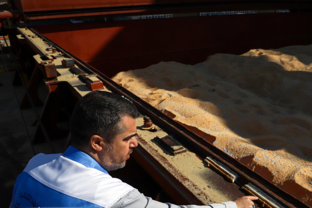 آغاز تولید قراردادی مرغ و بارگذاری 2 میلیون تن نهاده دامی