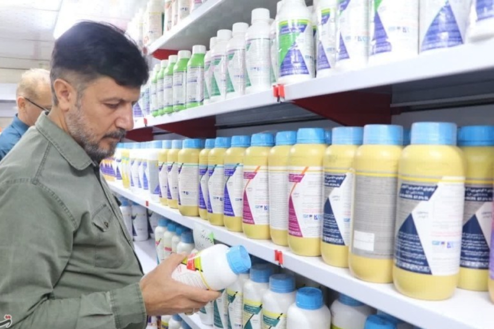 تصویب تعرفه مشاوره دارویی؛ داروسازان مجاز به ارائه خدمت استاندارد شدند