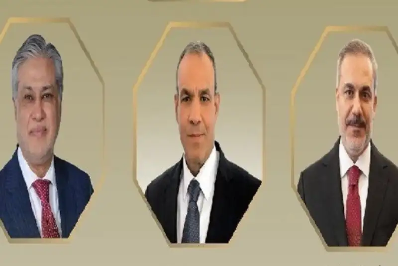 تاکید وزیران خارجه مصر، ترکیه و پاکستان بر کاهش تنش‌ها در منطقه