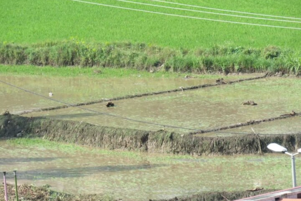 سیل 170 میلیارد به کشاورزی سوادکوه خسارت زد/  20 سردهنه تخریب شد