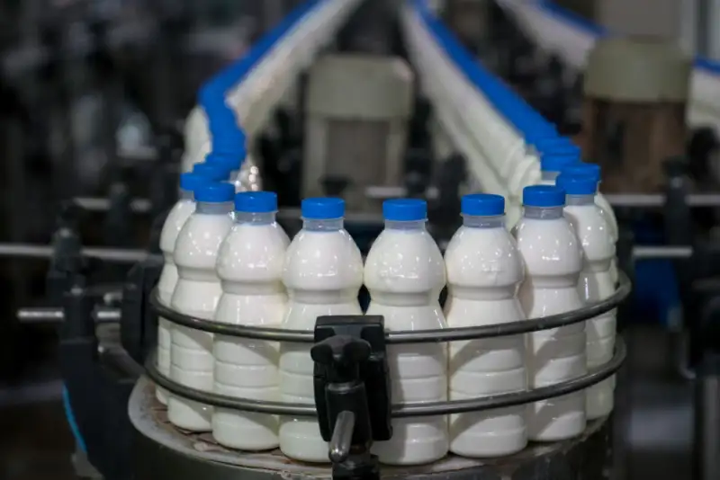 صادرات 3 میلیون تن لبنیات