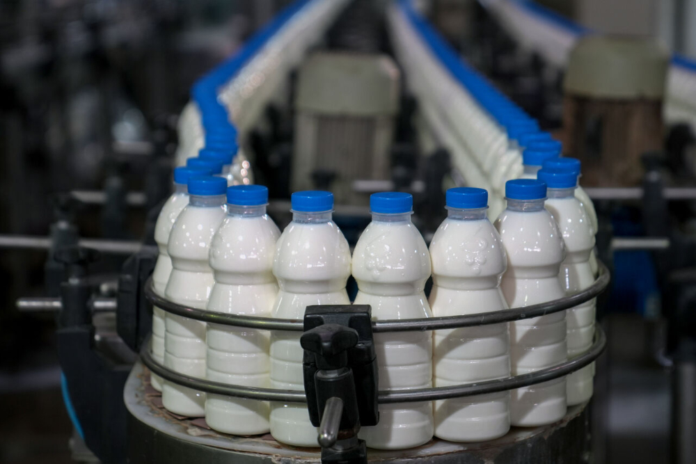 صادرات 3 میلیون تن لبنیات