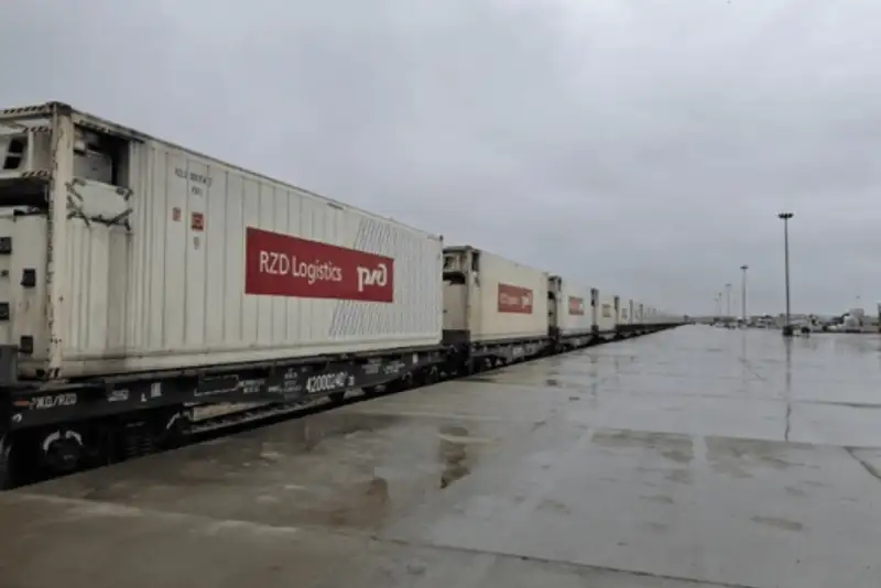 محموله 313 تنی کمک دارویی روسیه به کشور  رسید