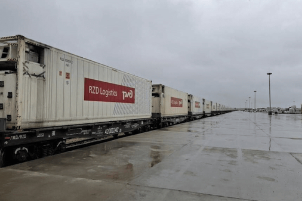 محموله 313 تنی کمک دارویی روسیه به کشور  رسید