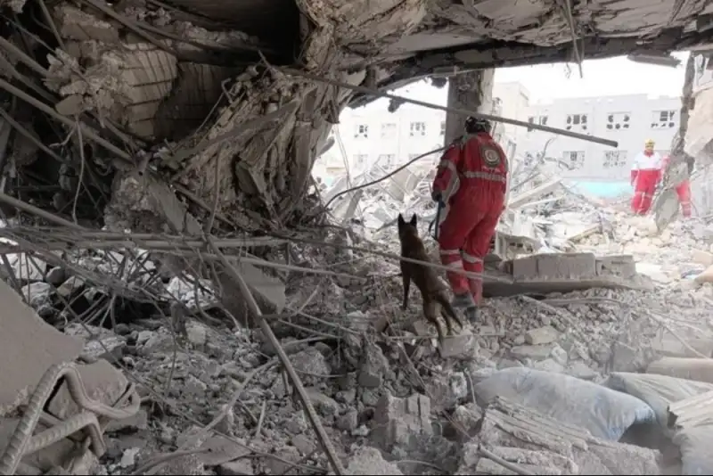 نجات 800 مصدوم زنده از زیر آوار در تهران