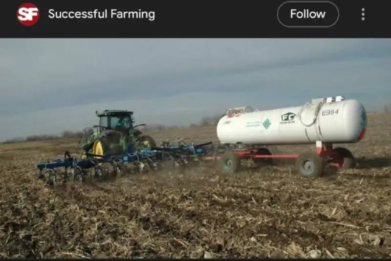 هشدار گلدمن ساکس در خصوص افزایش قیمت غلات