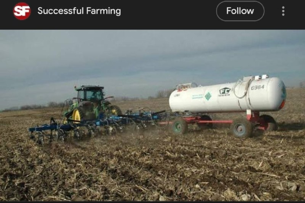 هشدار گلدمن ساکس در خصوص افزایش قیمت غلات