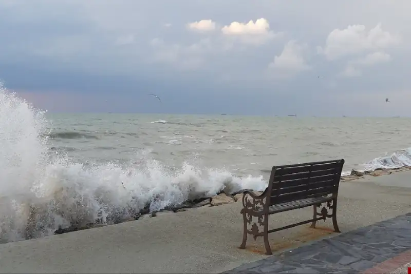 خلیج فارس و سواحل استان بوشهر تا پایان هفته مواج است