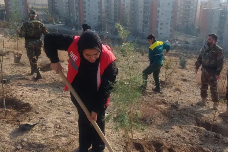 توزیع نهال‌ رایگان در پارک‌های جنگلی مازندران
