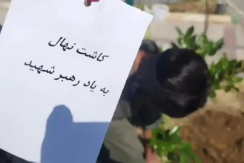 آغاز پویش نهال امید در سراسر ایران