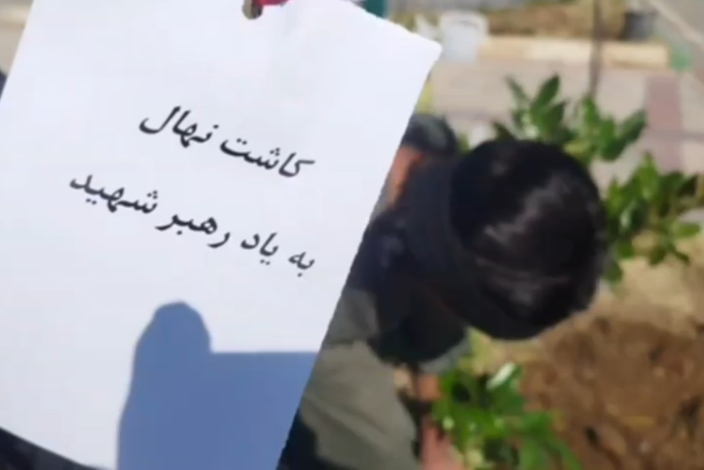 آغاز پویش نهال امید در سراسر ایران