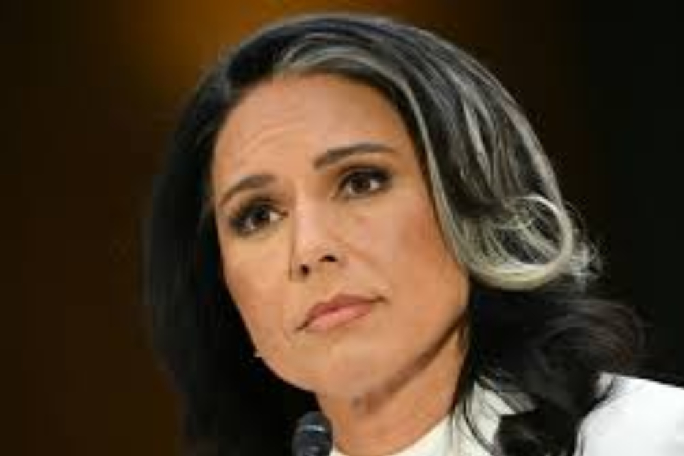 برکناری احتمالی مدیر اطلاعات ملی تکذیب شد