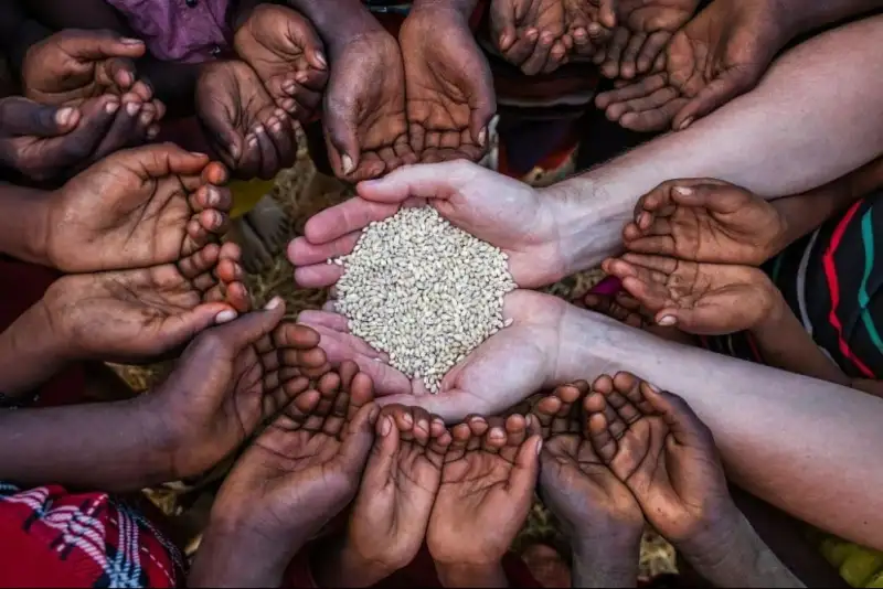 جنگ طولانی در خلیج فارس حتمال بروز قحطی در جهان را به دنبال دارد