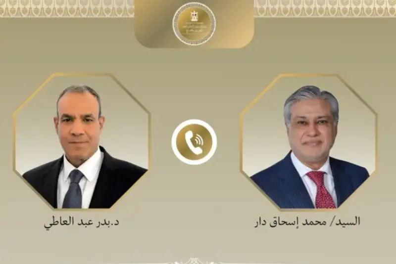 حفظ امنیت و ثبات منطقه محور گفتگوی وزرای خارجه پاکستان و مصر