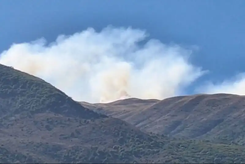 گزارش سازمان منابع طبیعی به نهادهای سازمان ملل درپی حملات اخیر