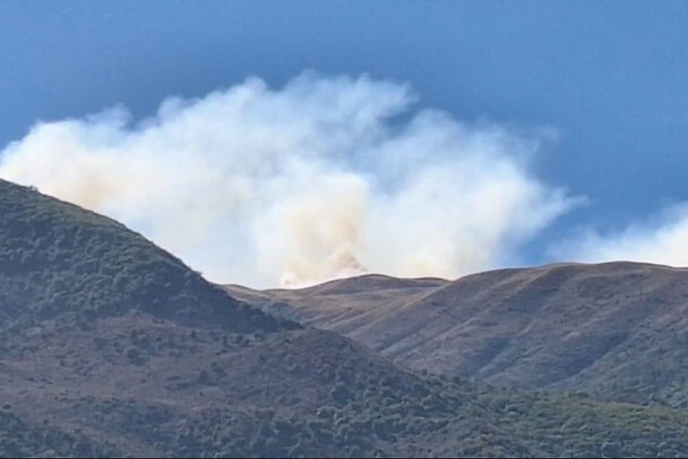 گزارش سازمان منابع طبیعی به نهادهای سازمان ملل درپی حملات اخیر