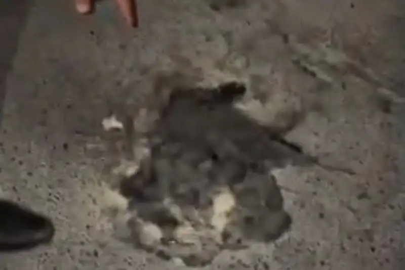 علت انفجار در منطقه 10 تهران اعلام شد