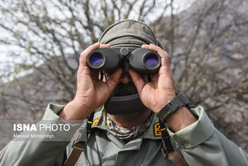 گزارش تصویری | سرشماری حیات وحش جنگل‌های هیرکانی رودبارک - سمنان