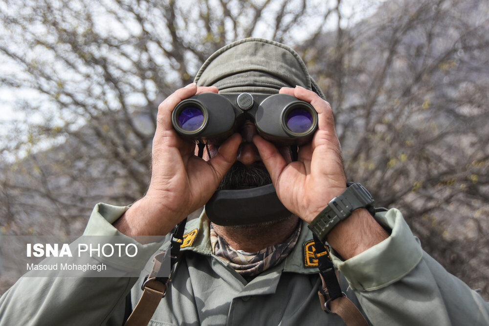 گزارش تصویری | سرشماری حیات وحش جنگل‌های هیرکانی رودبارک - سمنان