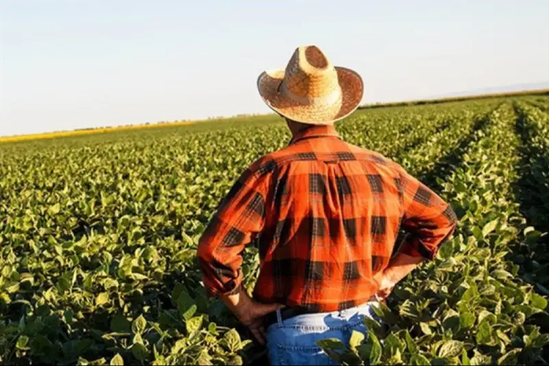 تهدید بقای بلندمدت تولید داخلی مواد غذایی در آمریکا