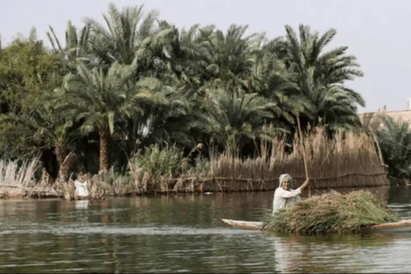 تالاب «شادگان» جان گرفت