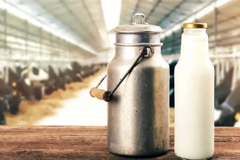 احتمال افزایش قیمت خرید شیرخام از دامداران