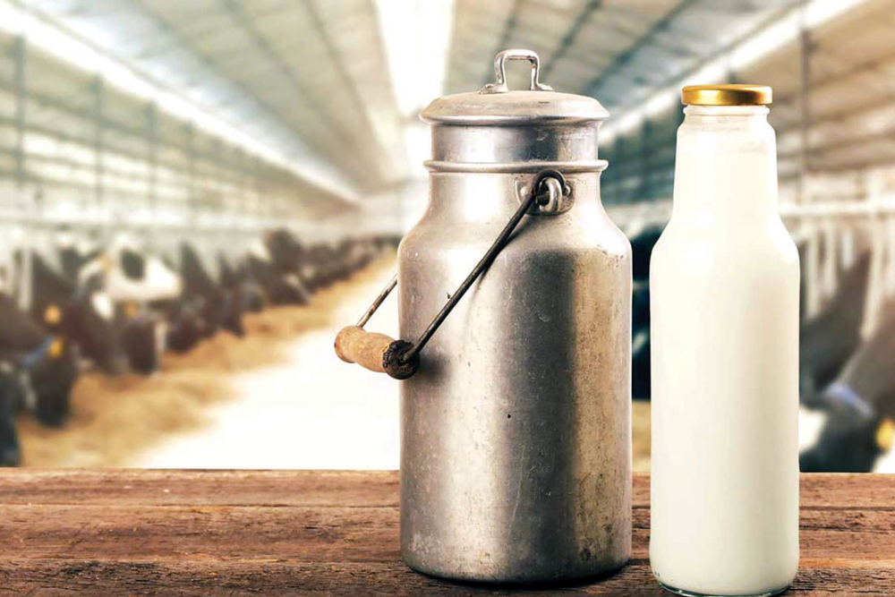 احتمال افزایش قیمت خرید شیرخام از دامداران