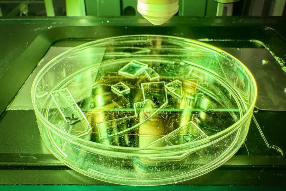 پلاستیکی که ویروس‌ها را می‌کُشد