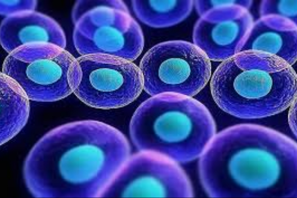 دستکاری ژنتیکی سلول‌های بنیادی؛ جهشی تازه در مسیر پزشکی بازساختی