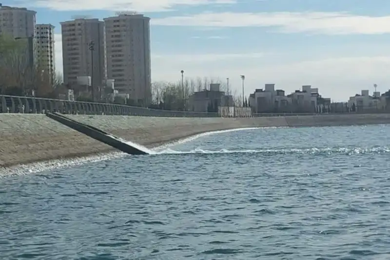 ماجرای حشرات ریز چیتگر چیست؟