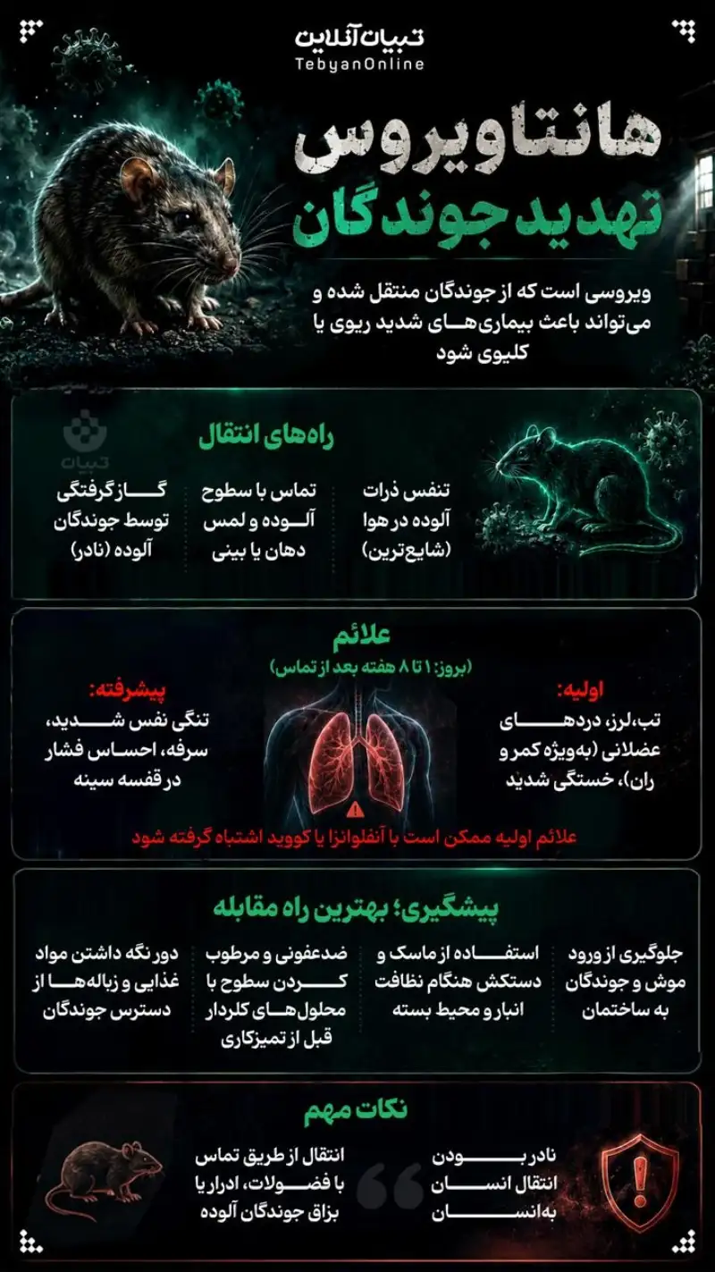 نوراینفو | راه های انتقال ویروس مرگبار هانتاویروس و نحوه پیشگیری از آن