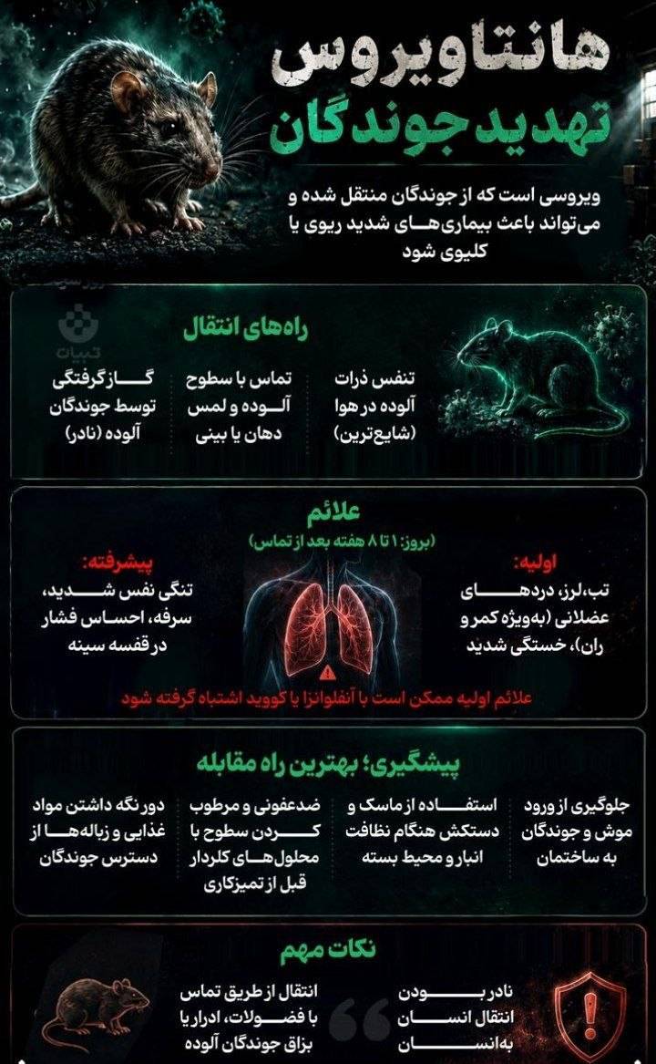 نوراینفو | راه های انتقال ویروس مرگبار هانتاویروس و نحوه پیشگیری از آن