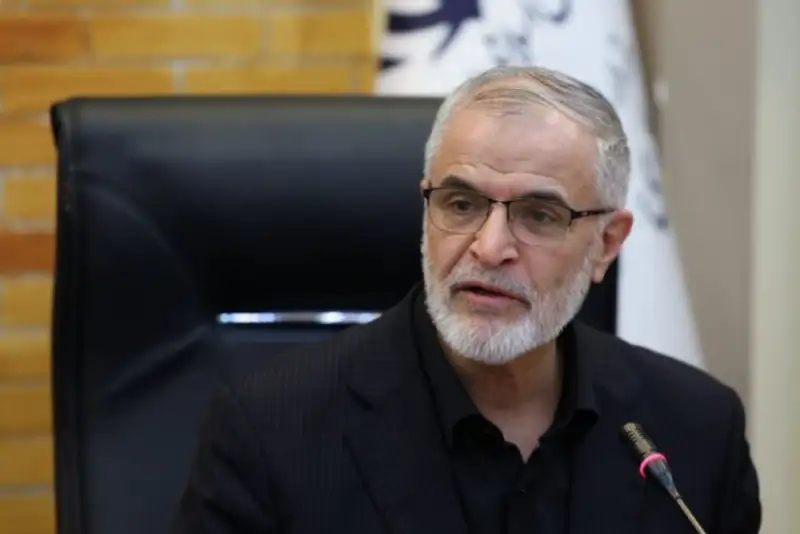 معاون وزیر کشور: مشکلی در  تامین امنیت مرزها نداریم