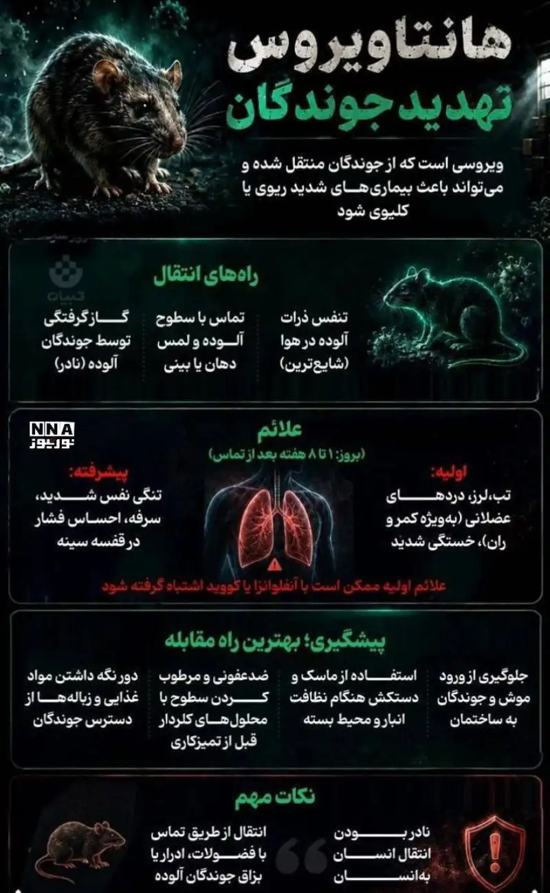 نوراینفو | راه های انتقال ویروس مرگبار هانتاویروس و نحوه پیشگیری از آن