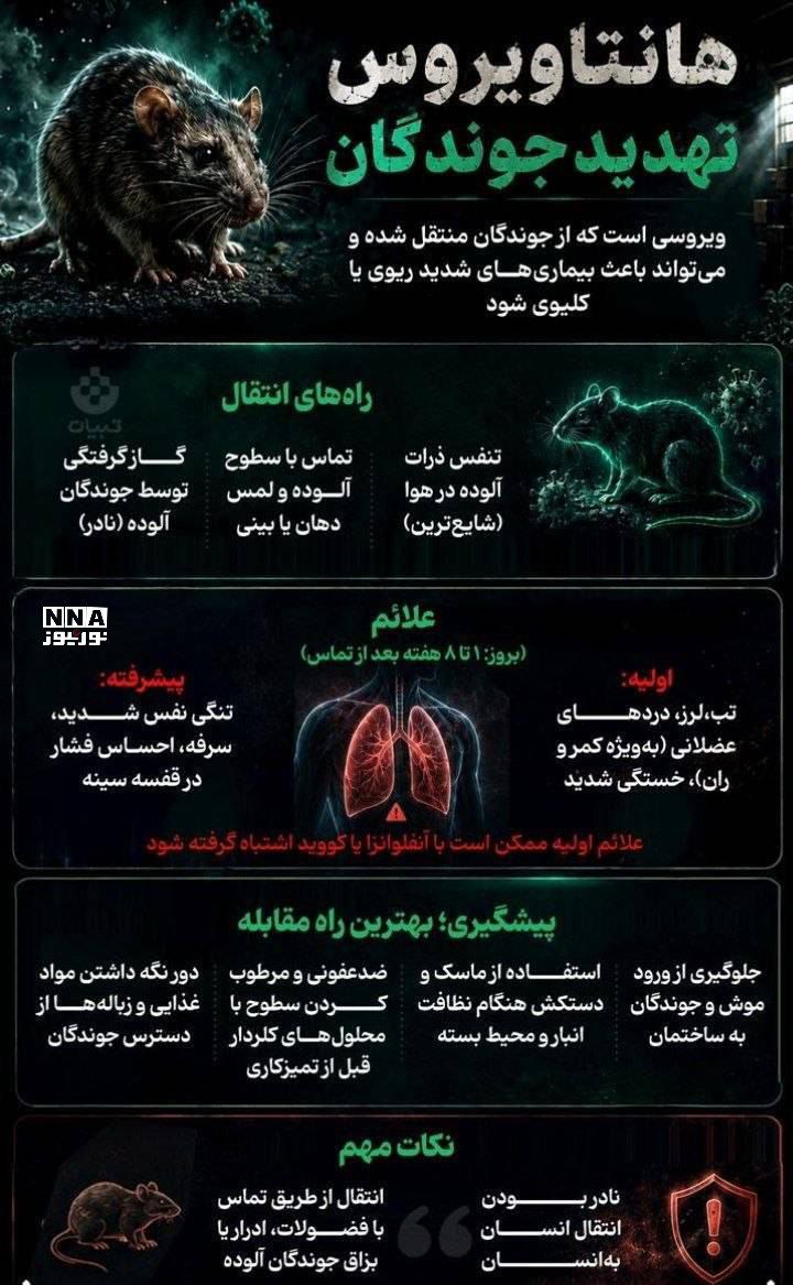 نوراینفو | راه های انتقال ویروس مرگبار هانتاویروس و نحوه پیشگیری از آن