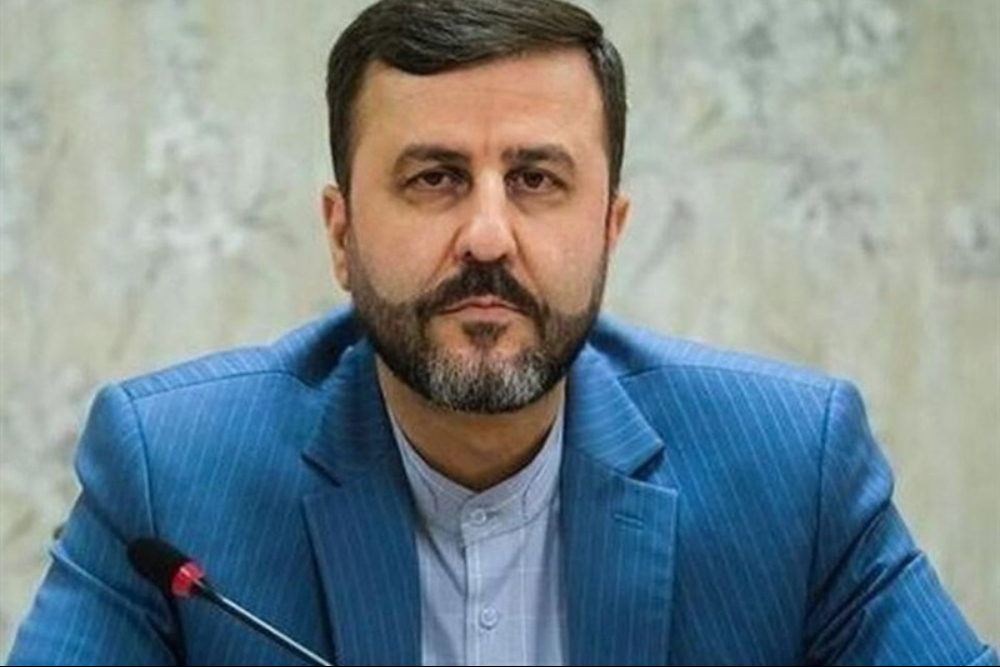حقوق بشر برای دشمنان، مصونیت برای متحدان