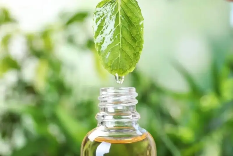 درمان طبیعی فشار خون با روغن نعنا تنها در 20 روز