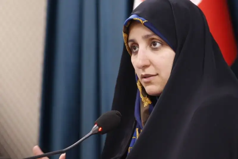 بهروزآذر: 80 درصد مجوزهای مشاغل خانگی کشور در اختیار زنان است