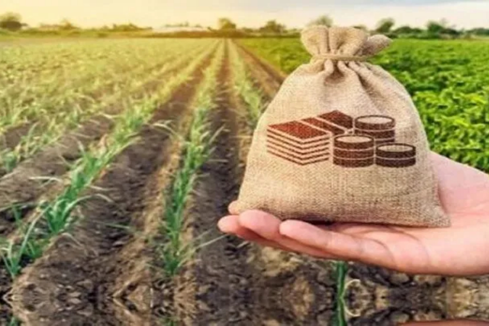 مصوبه جدید دولت برای مهار تورم در بازار محصولات کشاورزی