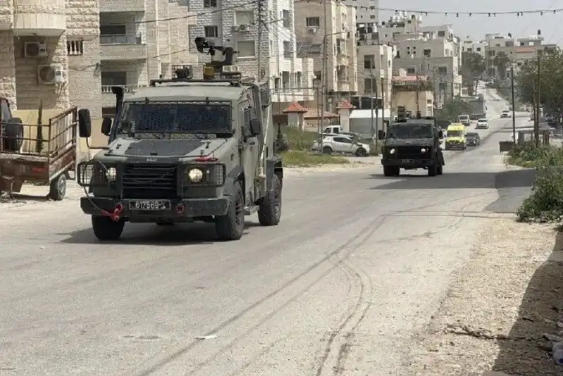تحلیلگر فلسطینی: مقاومت تنها گزینه مقابله با اشغالگران است