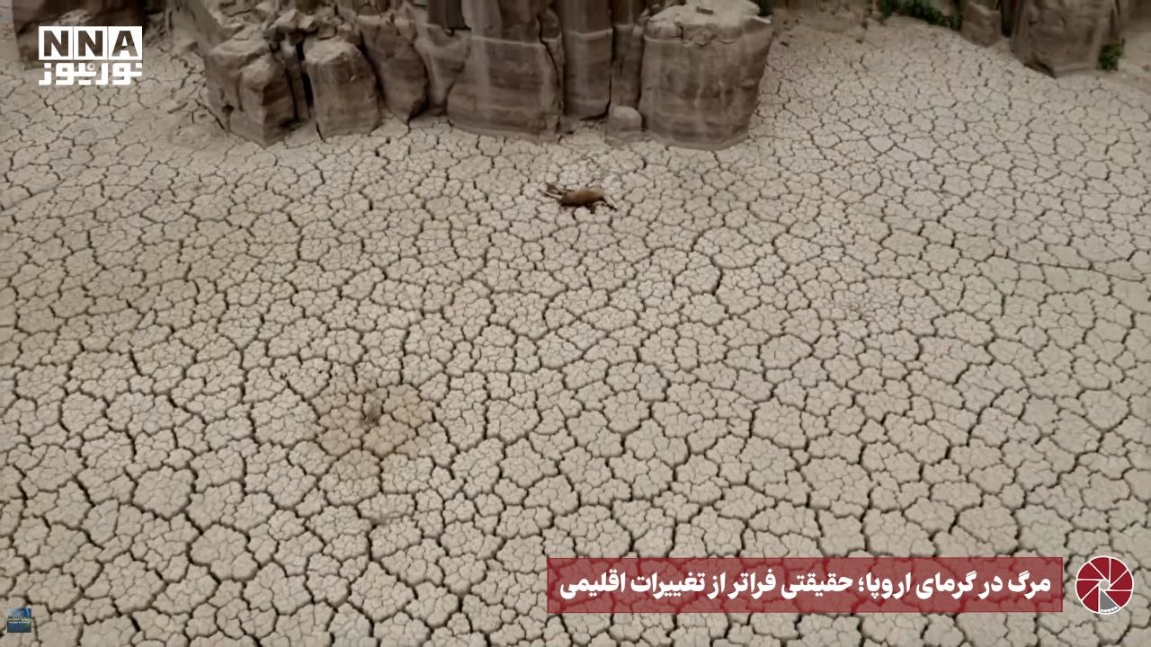 نورویدئو | مرگ در گرمای اروپا ؛ حقیقتی فراتر از تغییرات اقلیمی